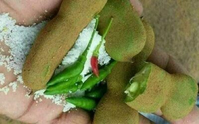 Tamarind Fruits, Sampalok