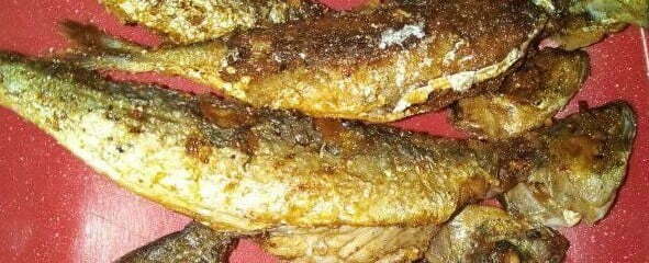 Pritong Galunggong, Fried Mackerel